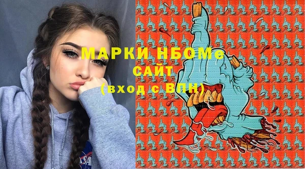 индика Михайловка