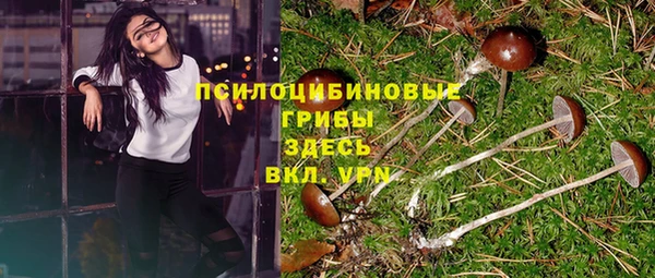 стафф Мегион