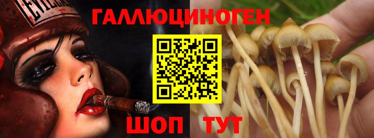 Галлюциногенные грибы Magic Shrooms  Галлюциногенные грибы Cubensis  Майский  Вход с VPN 